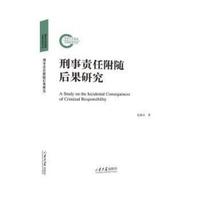 刑事责任附随后果研究 孙燕山著 9787560777740 山东大学出版社