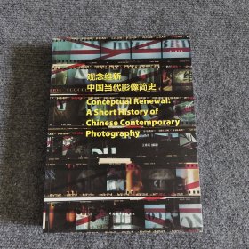 观念维新 : 中国当代影像简史