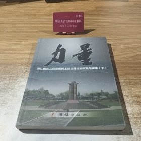 力量 : 浙江省武义县基层民主政治建设的实践与探 索. 下