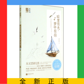 暗里有光夢(mèng)中有你