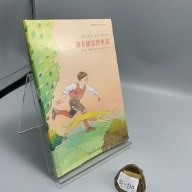 赛犬格雷伊传奇