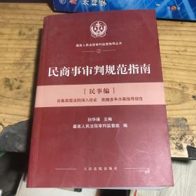 人民法院出版社 民商事审判规范指南