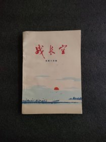 战长空<彩色插图本>