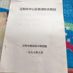 辽阳市中心区排涝防灾规划