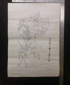 教学挂画:早期芙蓉线稿图挂画,中间硬折痕,作者画家陈子奋,37.5×26厘米,gyx22300