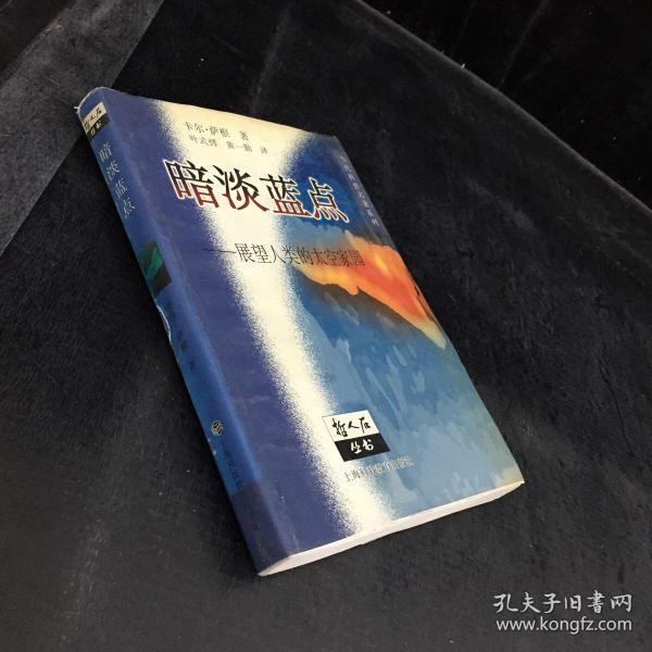 暗淡蓝点：展望人类的太空家园