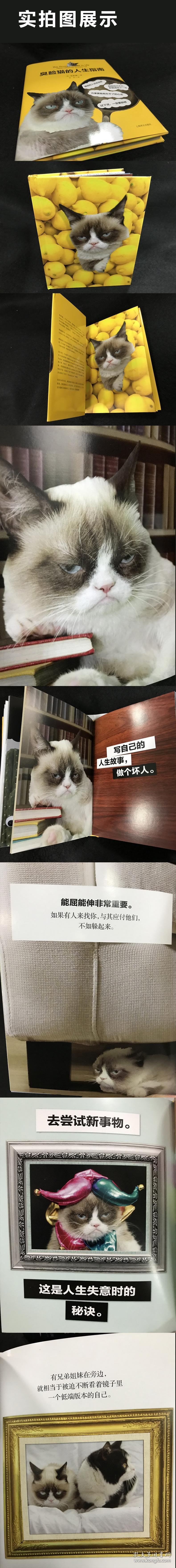 【正版】臭脸猫的人生指南