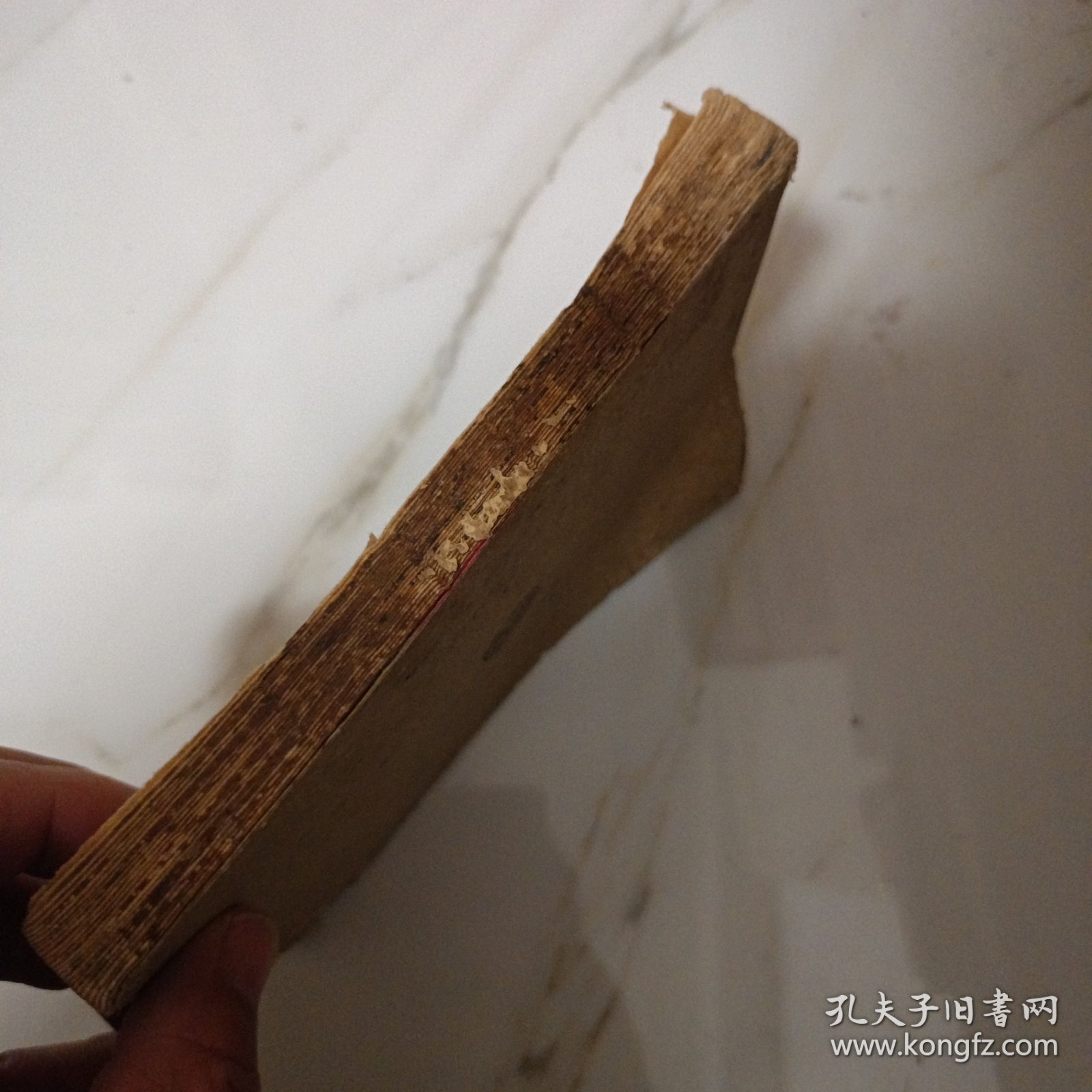 三民主义全一册