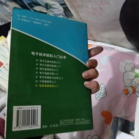 电源电路检修入门——电子技术轻松入门丛书