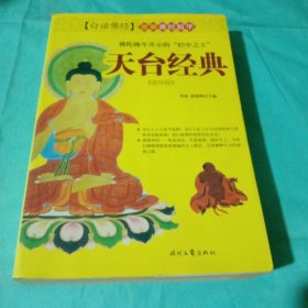 白话佛经 图解佛经精华 天台经典《法华经》