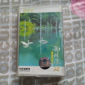 磁带 ：轻音乐 雨林深处