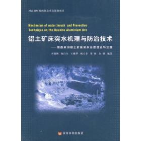 铝土矿床突水机理与治技术 冶金、地质 李满洲 新华正版