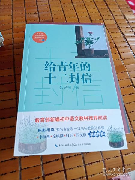 给青年的十二封信/教育部新编语文教材推荐阅读书系