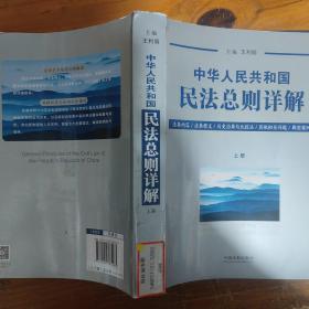 中华人民共和国民法总则详解（套装上下册）