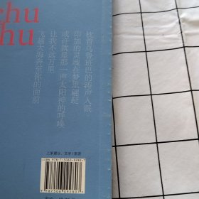 相思在马丘比丘:跨越半个地球的南美之旅(轻微损伤)