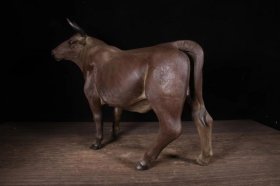 品名：牛气冲天 尺寸：长47cm宽16cm高38cm