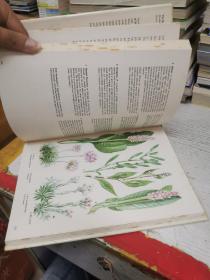 The Iiiustrated Book of Wild flowers