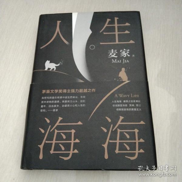 麦家：人生海海（茅盾文学奖得主麦家2019年强力之作）