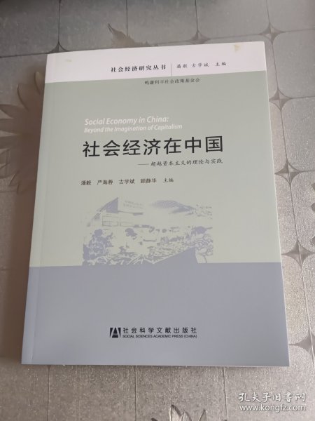 社会经济在中国：超越资本主义的理论与实践