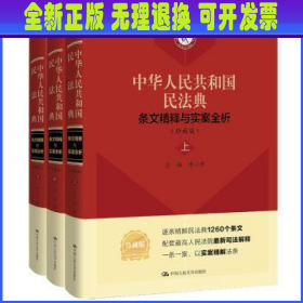 《中华人民共和国民法典》条文精释与实案全析（珍藏版）