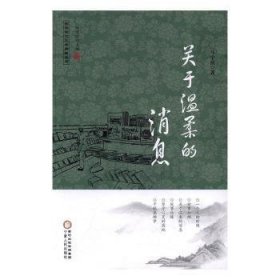 回族当代文学典藏丛书 杨宏峰作品：关于温柔的消息