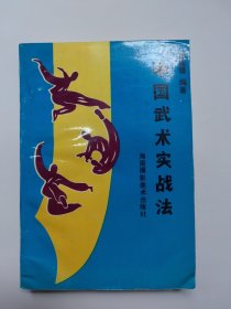 中国武术实战法（八卦掌六十四路散手 少林十毒手 甘凤池七十二擒拿术等）