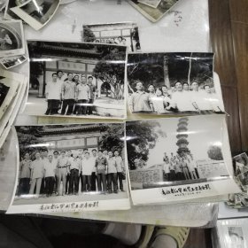 长航老红军游览玉泉寺合影照五张