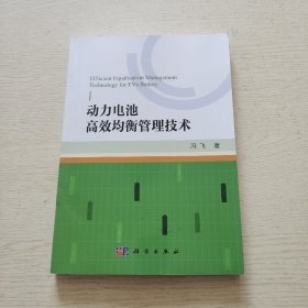 动力电池高效均衡管理技术（品相如图）