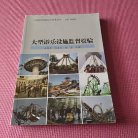 大型游樂設(shè)施安全叢書：大型游樂設(shè)施監(jiān)督檢驗
