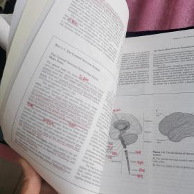 神经科学原理〈英文版原书第5版上下册）