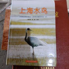 上海水鸟  a中