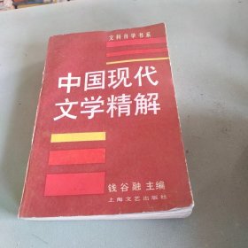 中国现代文学精解