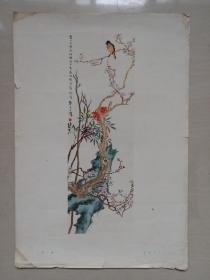 八开美术作品，文革前印刷王师子绘画的国画作品《花鸟》，实物图