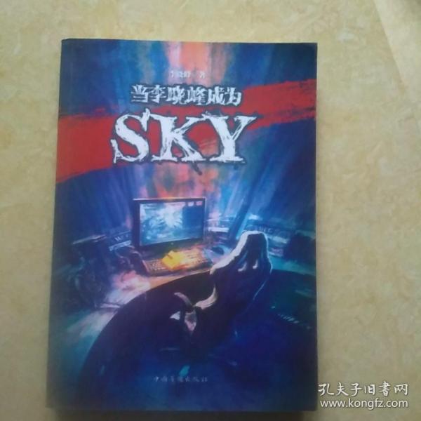 当李晓峰成为SKY