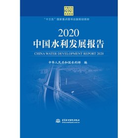 2020中国水利发展报告