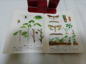 农作物病虫害彩色图册 第二分册 棉花病虫害（植保员手册编绘组编绘，上海人民出版社1972年1版1印）2023.12.29日上