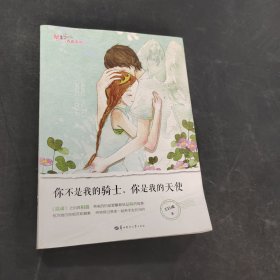 你不是我的騎士，你是我的天使