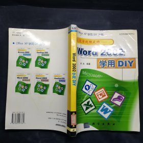 文字处理大师:Word 2002学用DIY