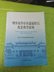 刑事案件审查逮捕指引配套典型案例