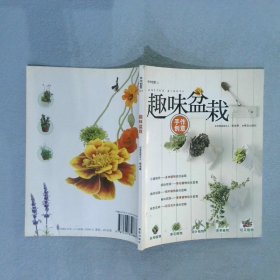 正版图书|手作创意DIY：趣味盆栽曾淑琳