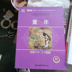 全面展现世界文学名著精粹：童年（全新未看）