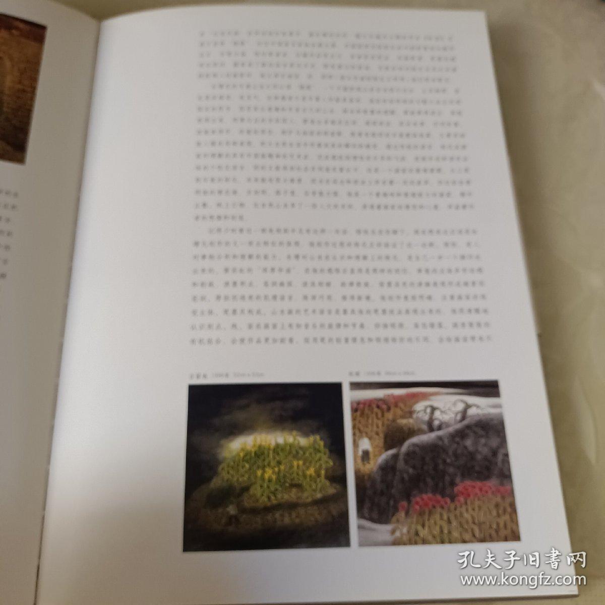收藏界最关注的中国画家 谢永增 沃旷积翠