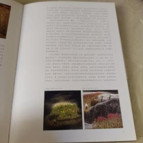 收藏界最关注的中国画家 谢永增 沃旷积翠