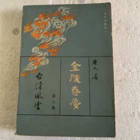 金陵春梦六