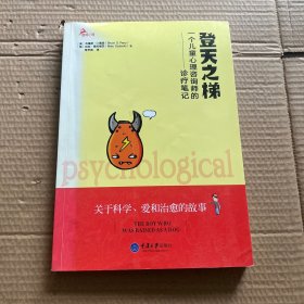 登天之梯：一个儿童心理咨询师的诊疗笔记