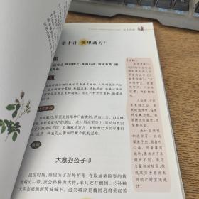 三十六计 美绘插图版 教育部“语文课程标准”推荐阅读 名词美句 名师点评 中小学生必读书系