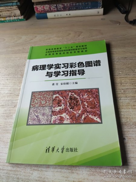 病理学实习彩色图谱与学习指导/普通高等教育“十二五”规划教材