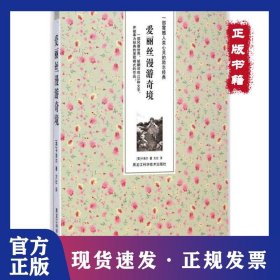 爱丽丝漫游奇境 9787538880533