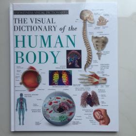 英文原版 Eyewitness Visual Dictionaries The Visual Dictionary of the Human Body