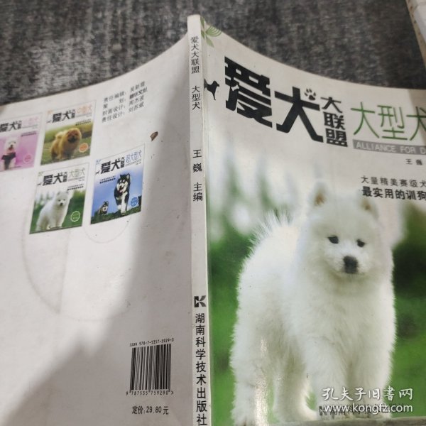 爱犬大联盟：大型犬